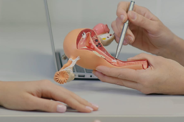 Certificate of Specialty Training (CST) in Urogynecology Organized by SURPS